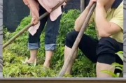 吃瓜群众娱乐八卦,吃瓜群众揭秘明星幕后故事